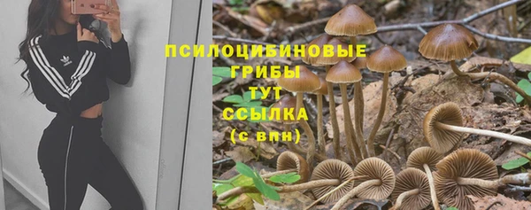 прущая мука Богданович